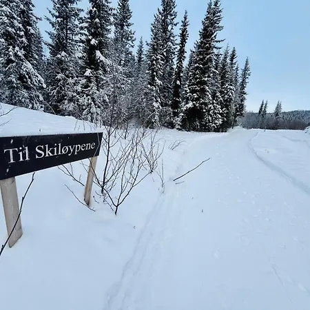 Beitobygda Getaway ,nature And Luxury *