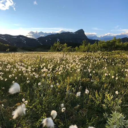 Beitobygda Getaway ,nature And Luxury Vakantiehuis Beitostolen