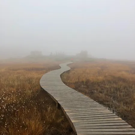 Beitobygda Getaway ,nature And Luxury Feriehus *