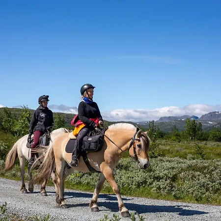 Feriehus Beitobygda Getaway ,nature And Luxury Beitostolen