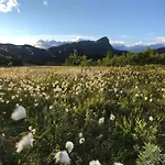 Beitobygda Getaway ,nature And Luxury Casa vacanze Beitostolen