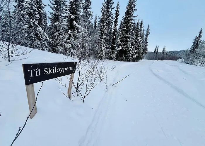 Beitobygda Getaway ,nature And Luxury *