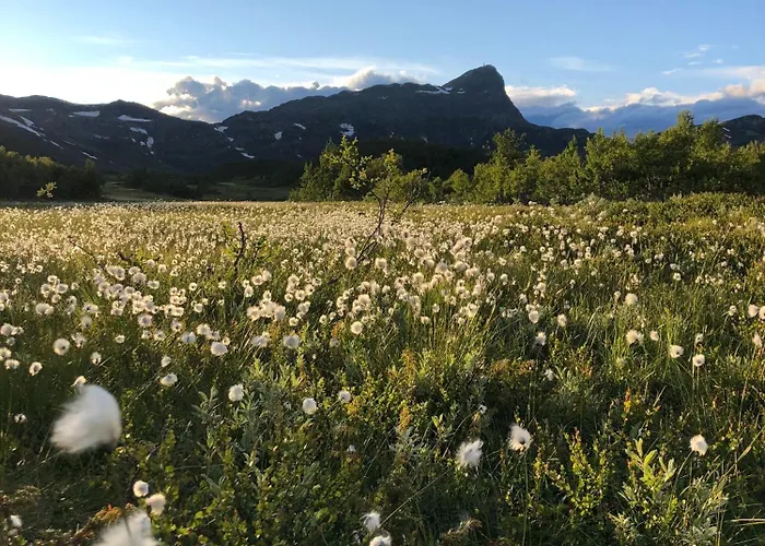 Beitobygda Getaway ,nature And Luxury Semesterbostad Beitostolen